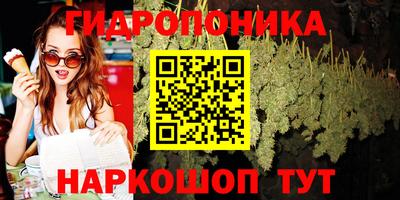 стафф Ставрополь