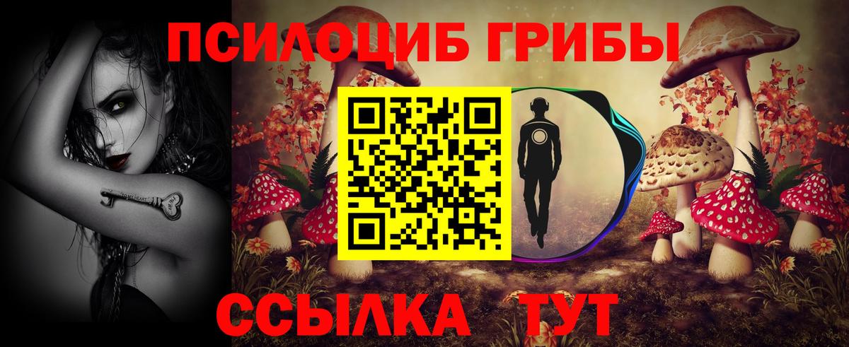 Барнаул  Псилоцибиновые грибы мицелий  Вход с VPN 