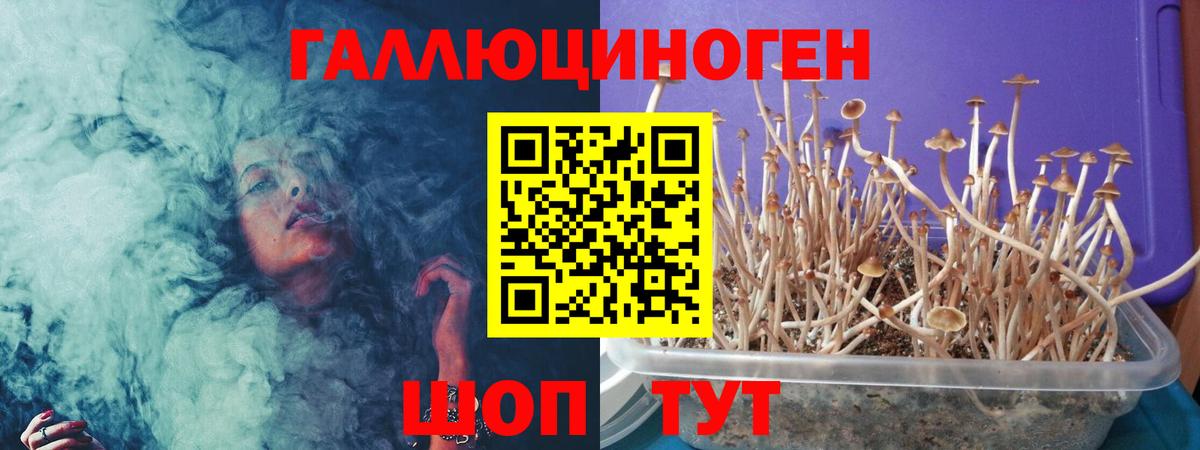 Галлюциногенные грибы MAGIC MUSHROOMS Барнаул